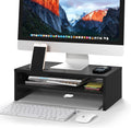 Modern Monitor Riser with Built-In Organizer